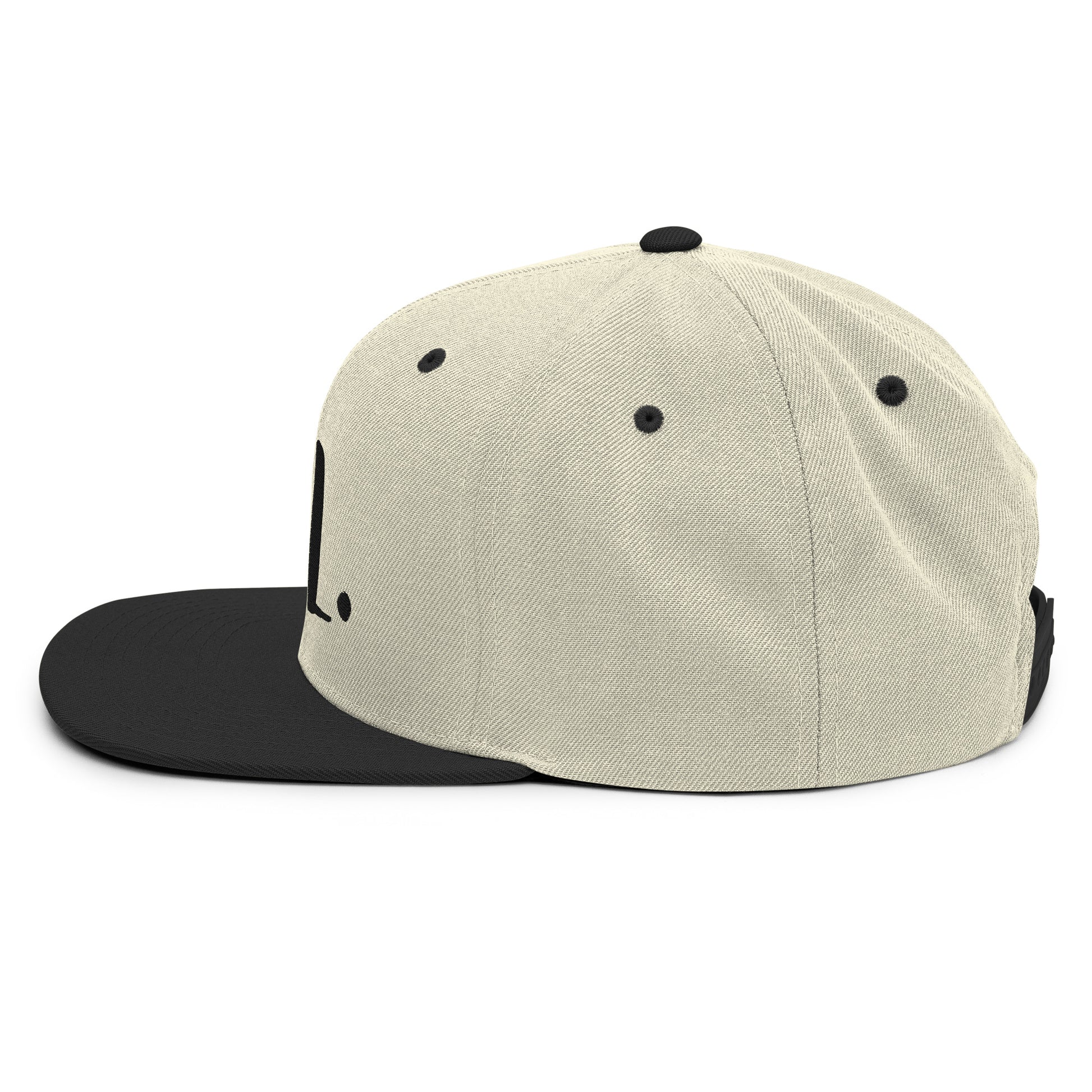 Gorra snapback Barrel bordado logo lateral